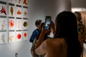 Full Bloom Art Gallery - Shots by Charlotte