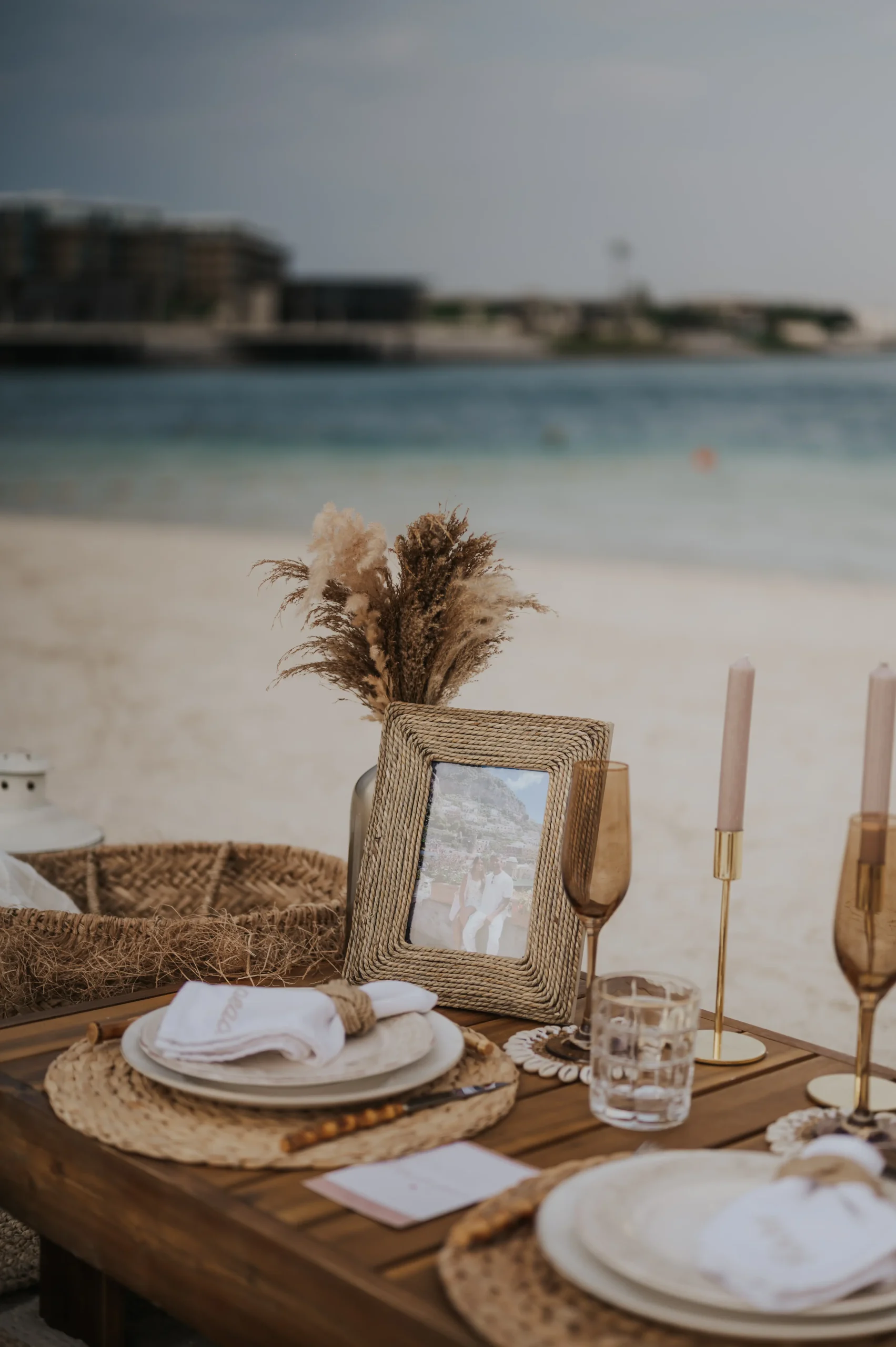 Dubai Picnic 6